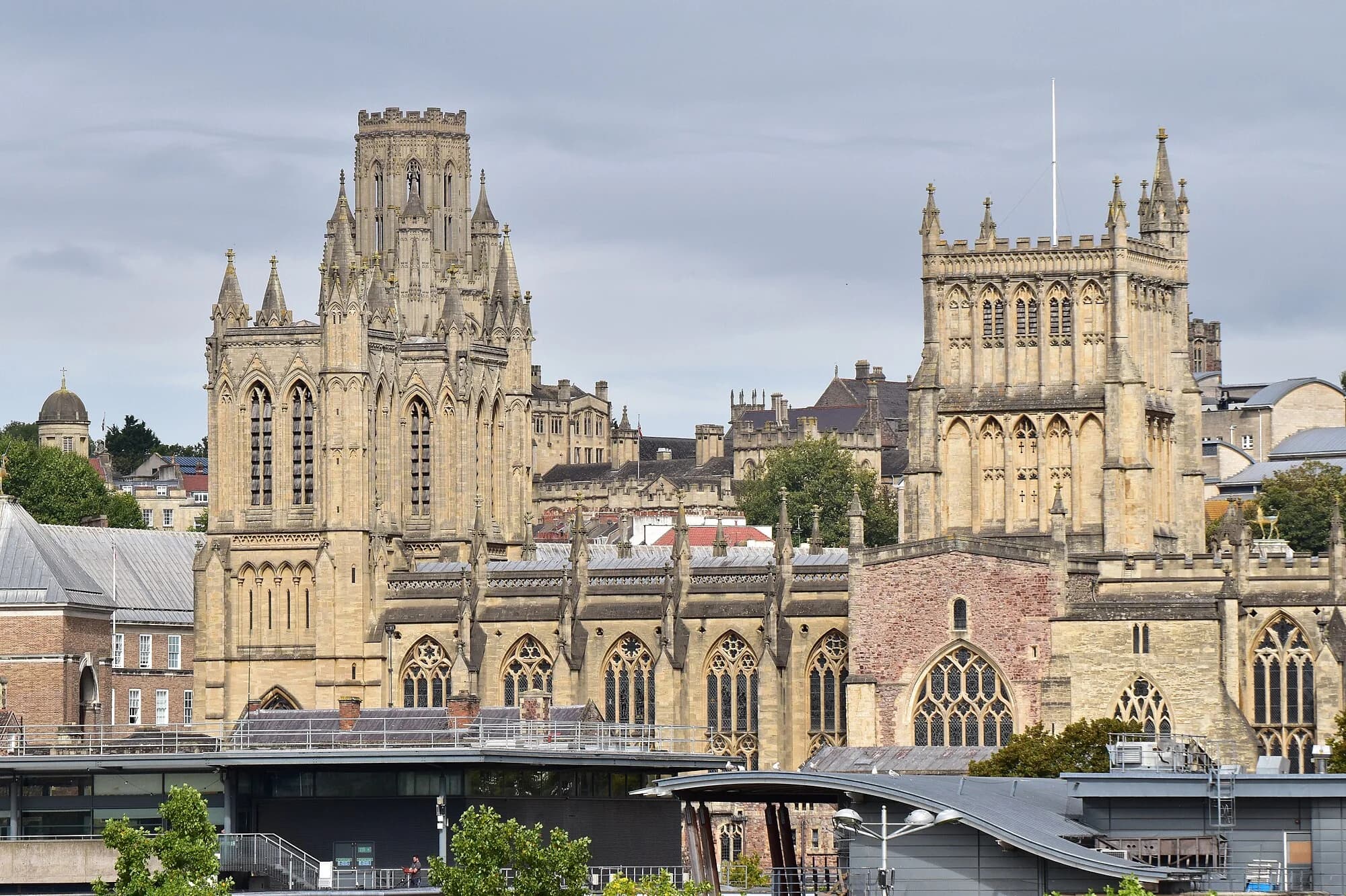 Vets in Bristol