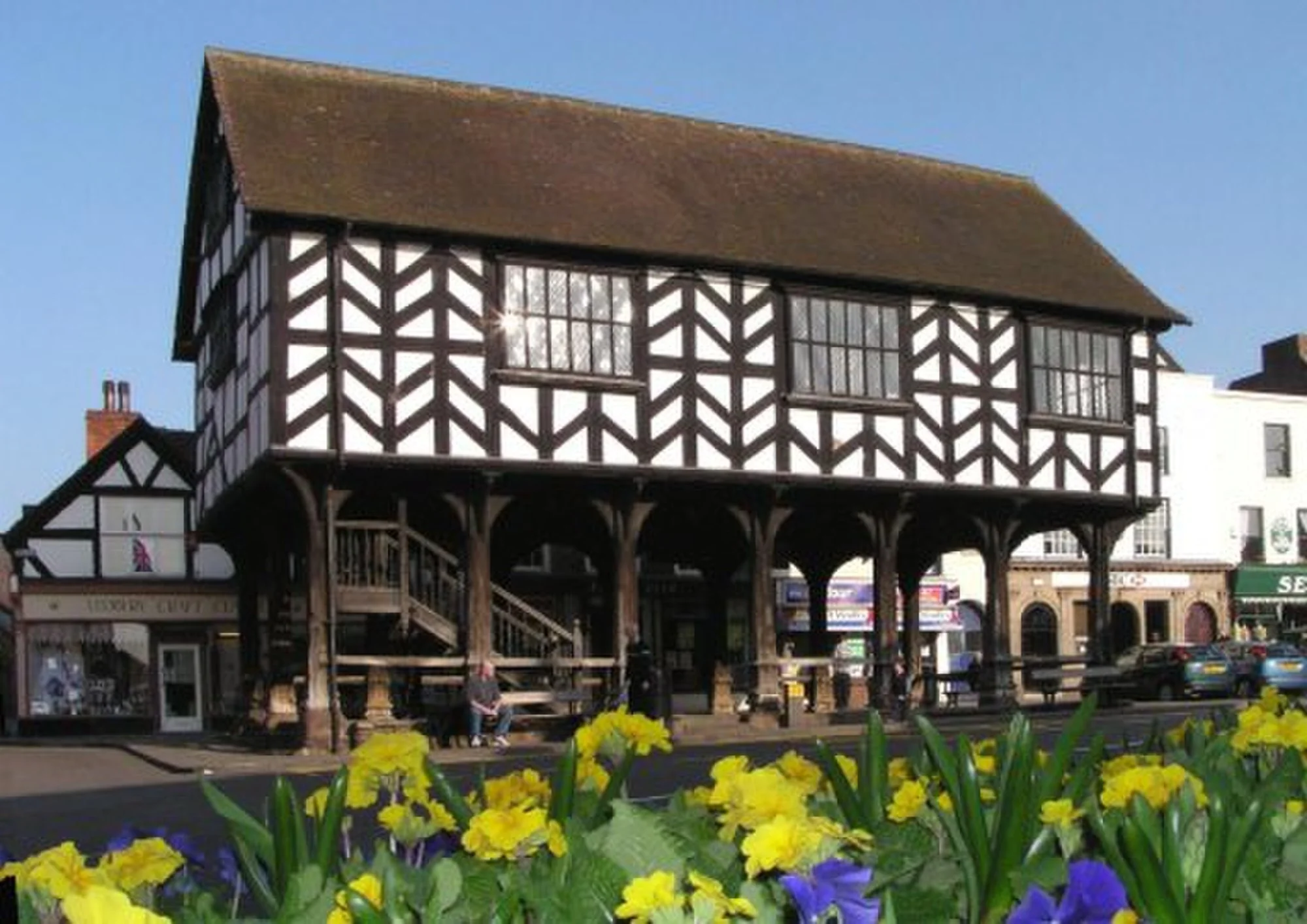 Vets in Ledbury